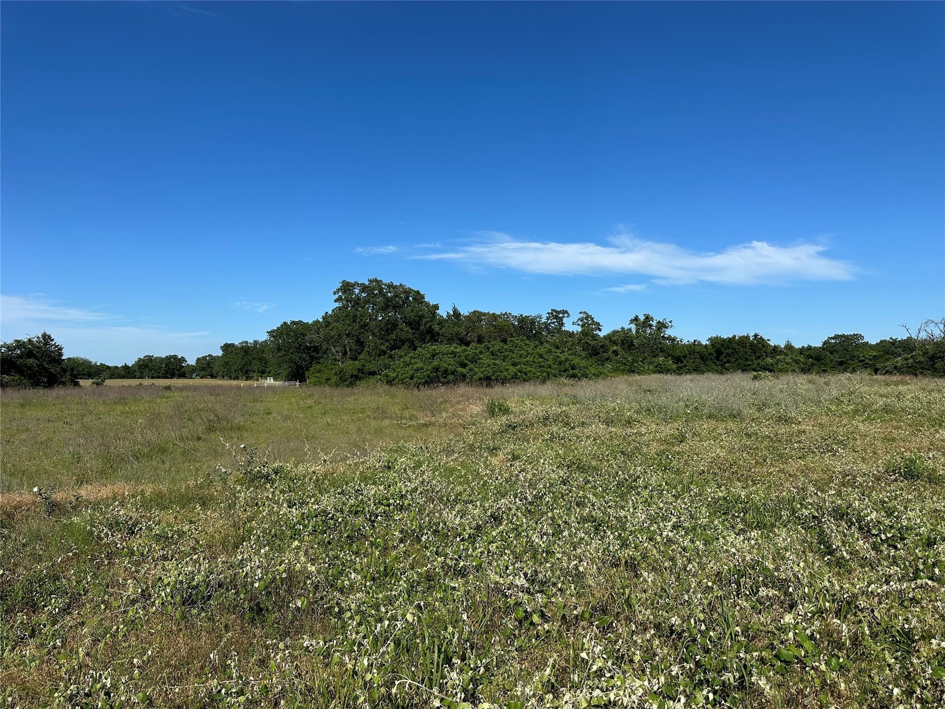 31.46 acres in Freestone County gallery image 3