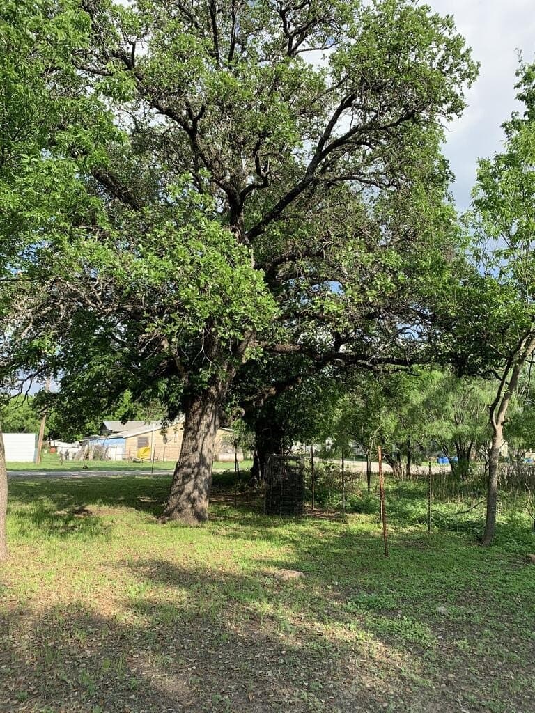 0.16 acres in McCulloch County - photo 11