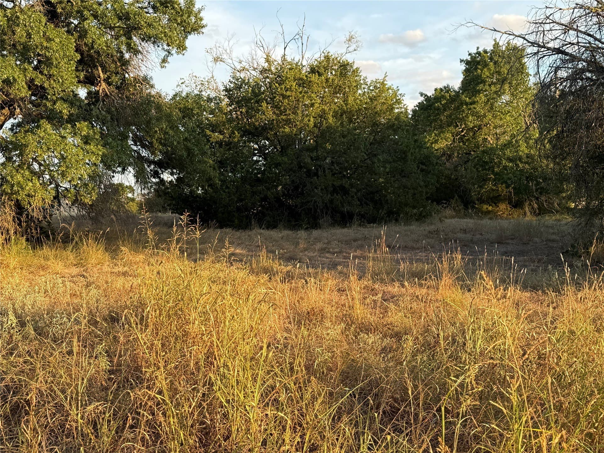 0.6 acres in Bosque County - photo 4