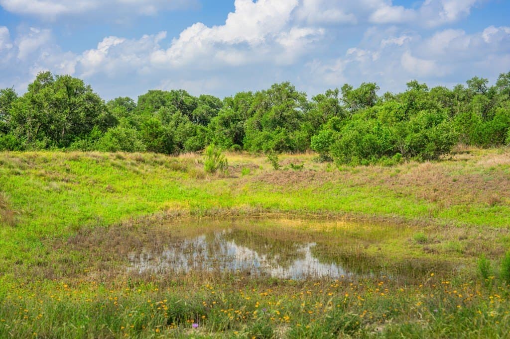 26.36 acres in Blanco County - photo 45