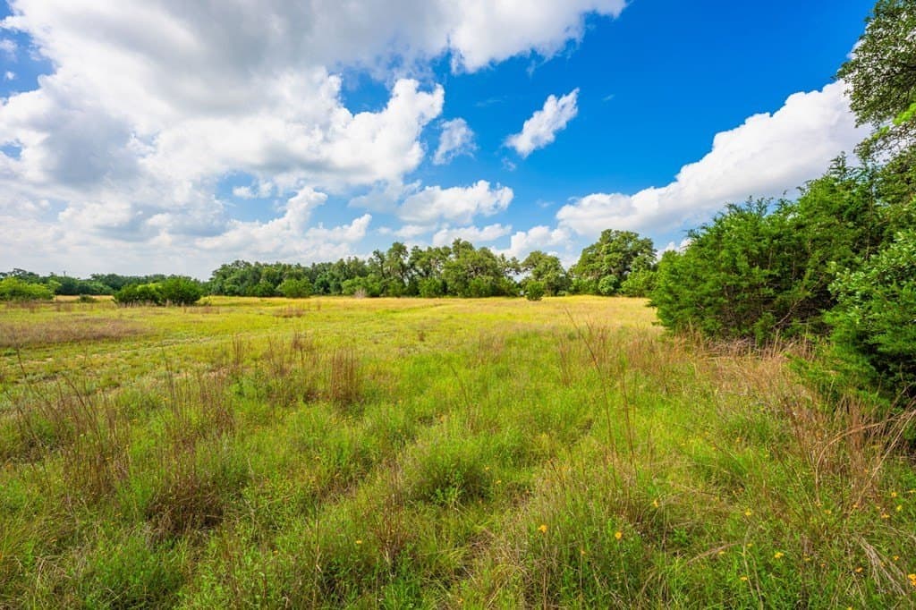 26.36 acres in Blanco County - photo 6