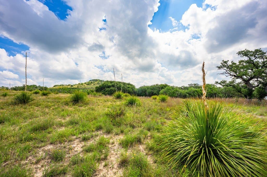 26.36 acres in Blanco County - photo 40