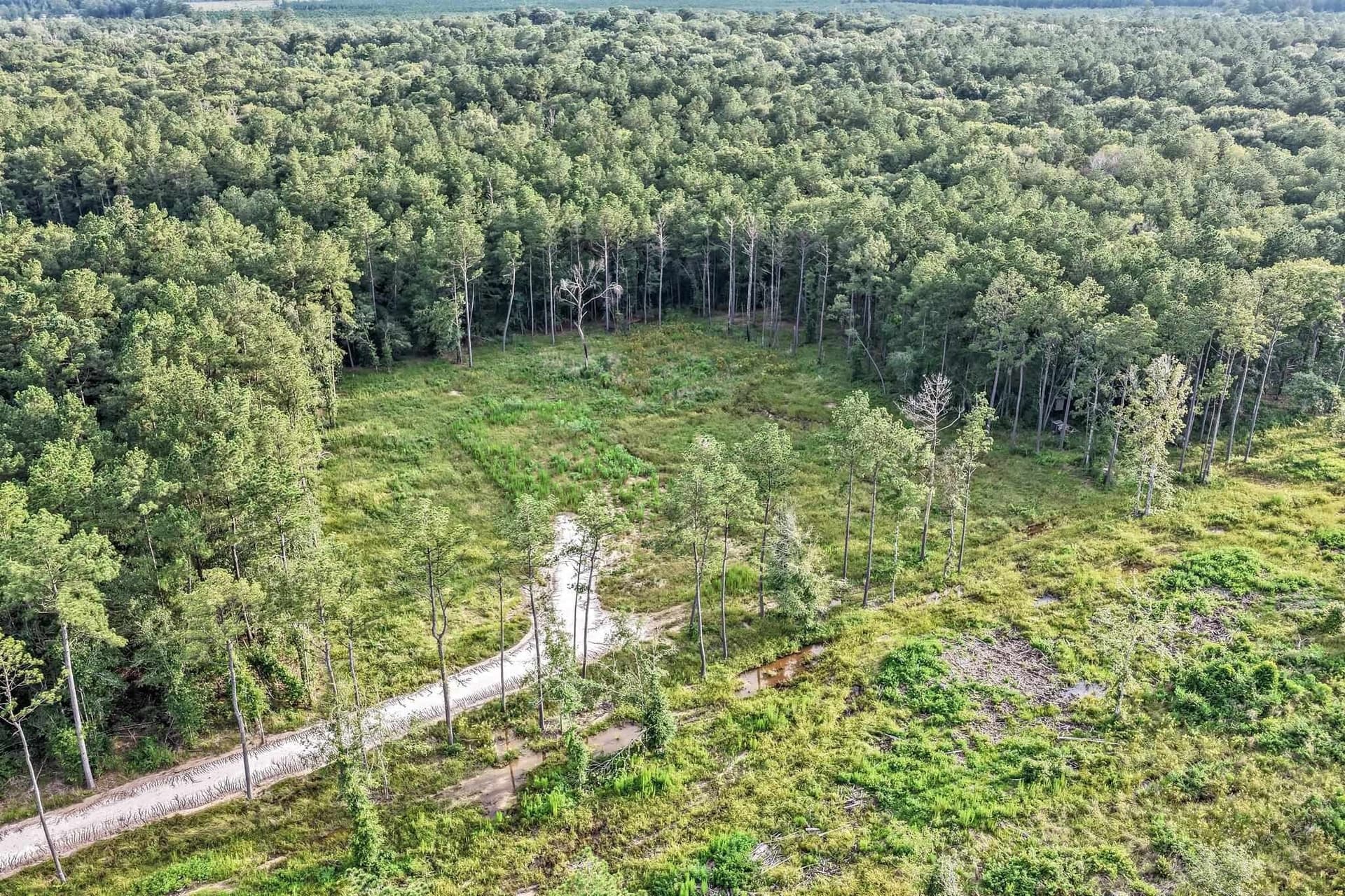 29.8 acres in Hardin County gallery image 2