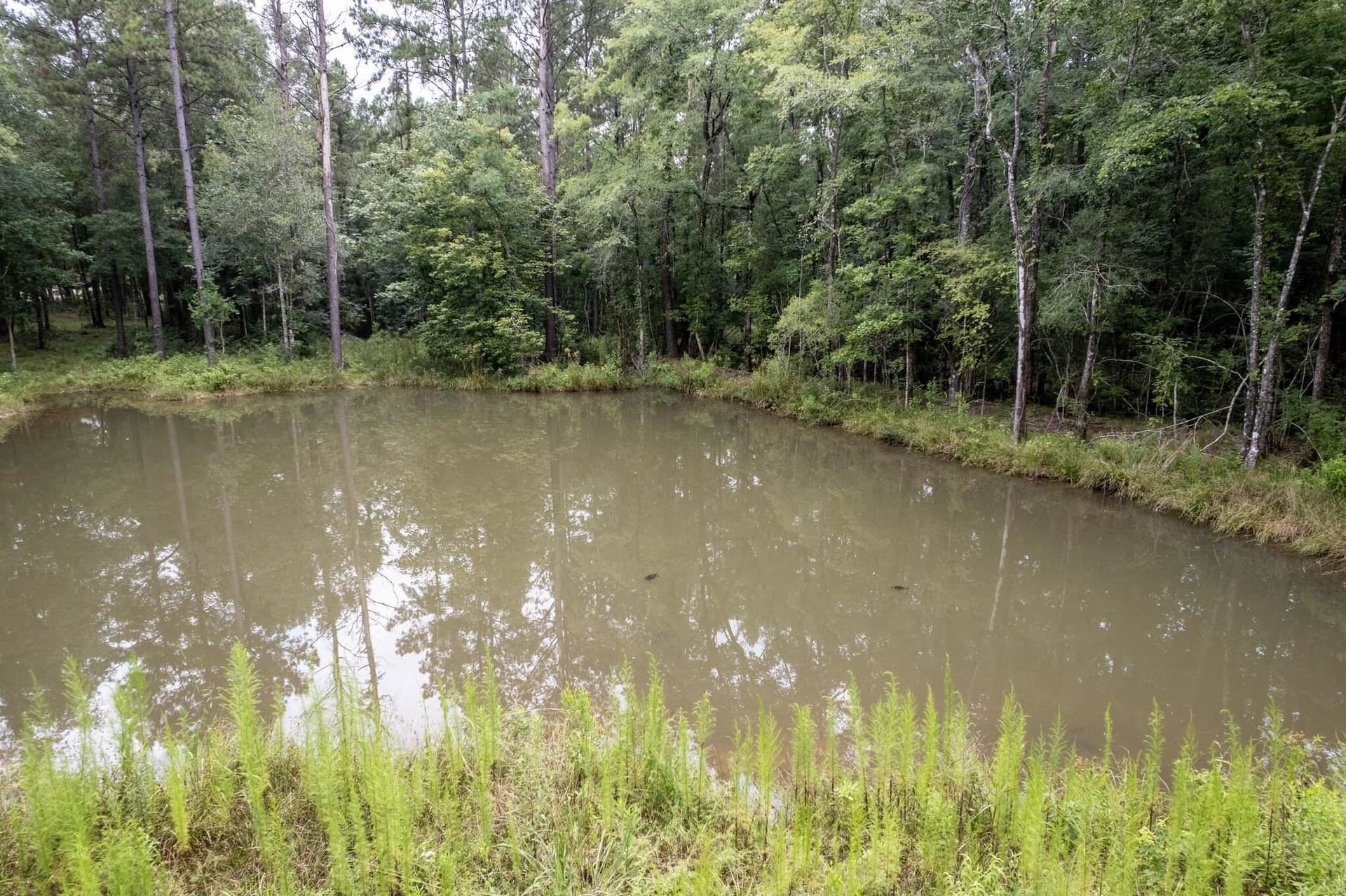 29.8 acres in Hardin County gallery image 3