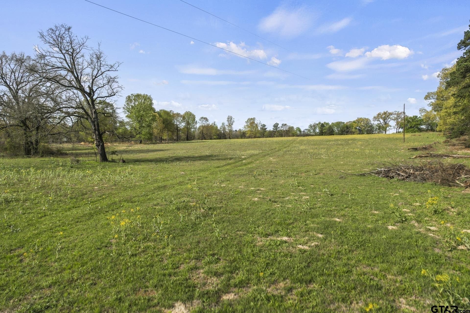 44.47 acres in Titus County featured view