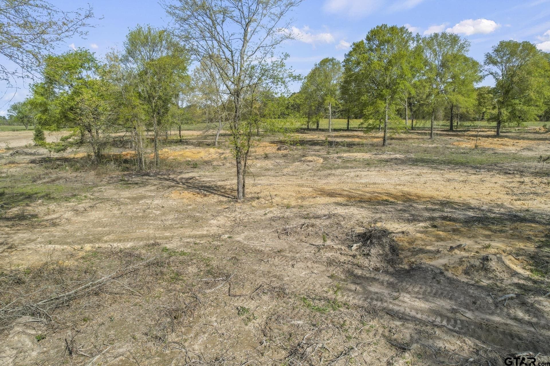 44.47 acres in Titus County gallery image 3