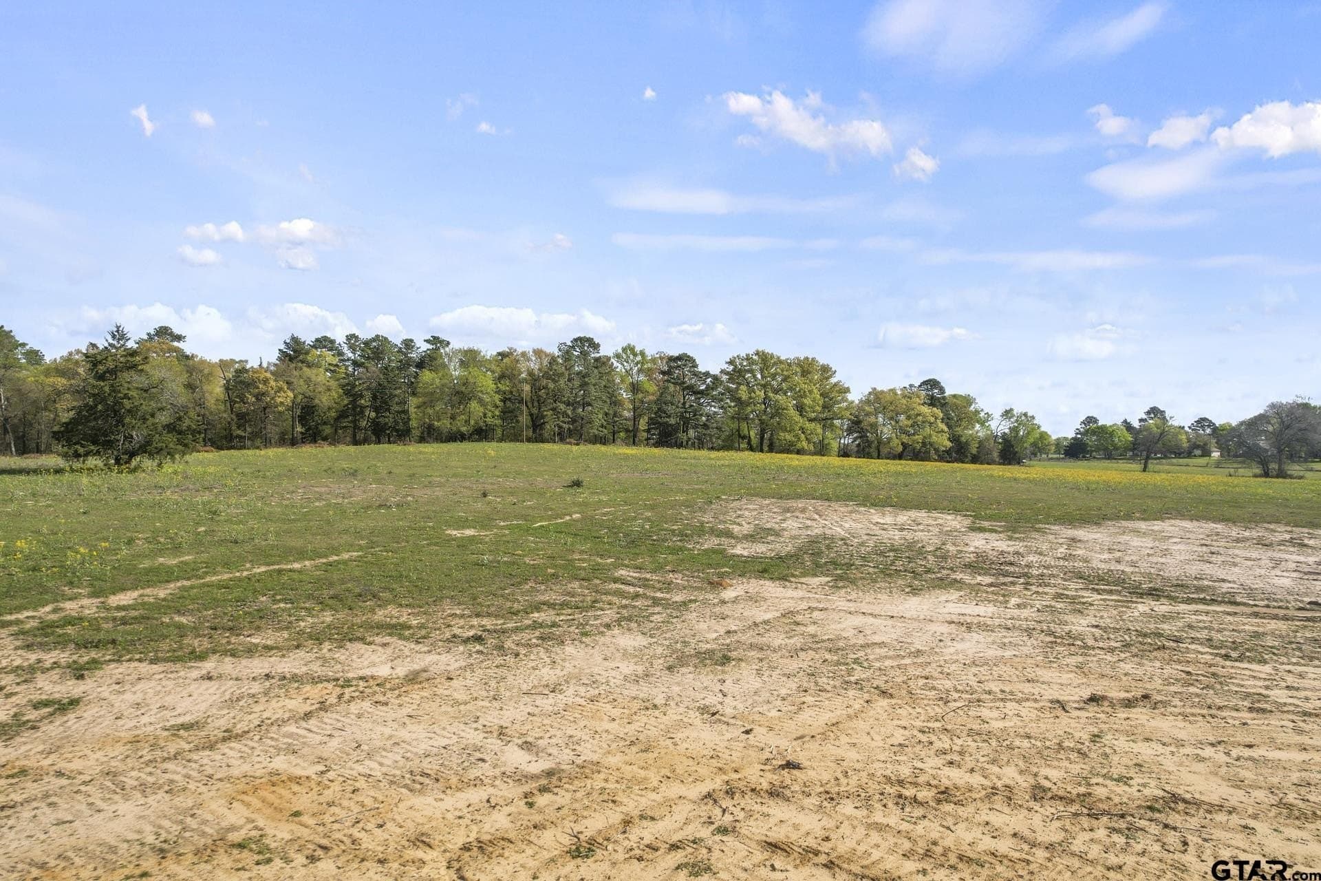 44.47 acres in Titus County gallery image 4