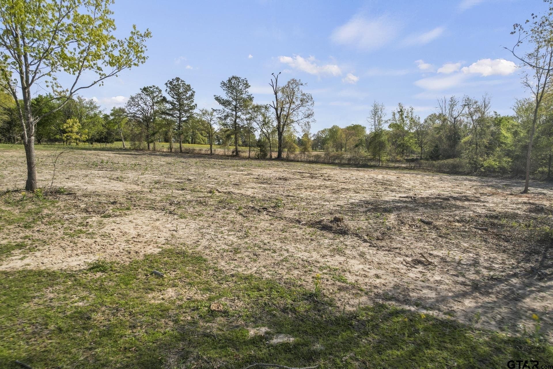 44.47 acres in Titus County gallery image 2