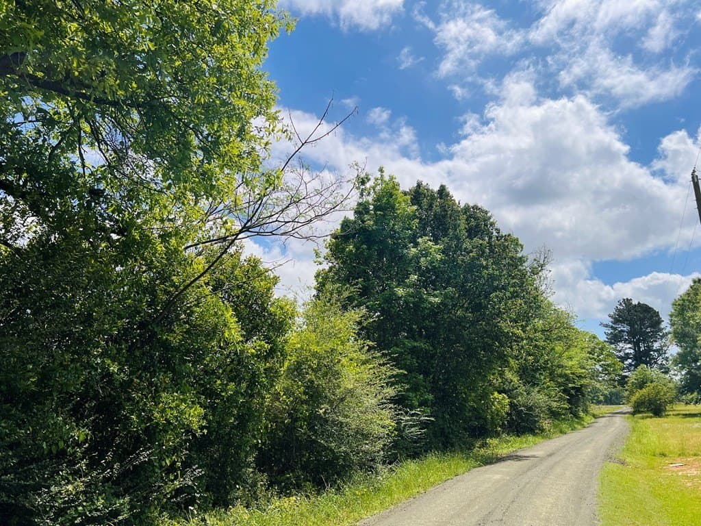 1.14 acres in Texas County gallery image 3