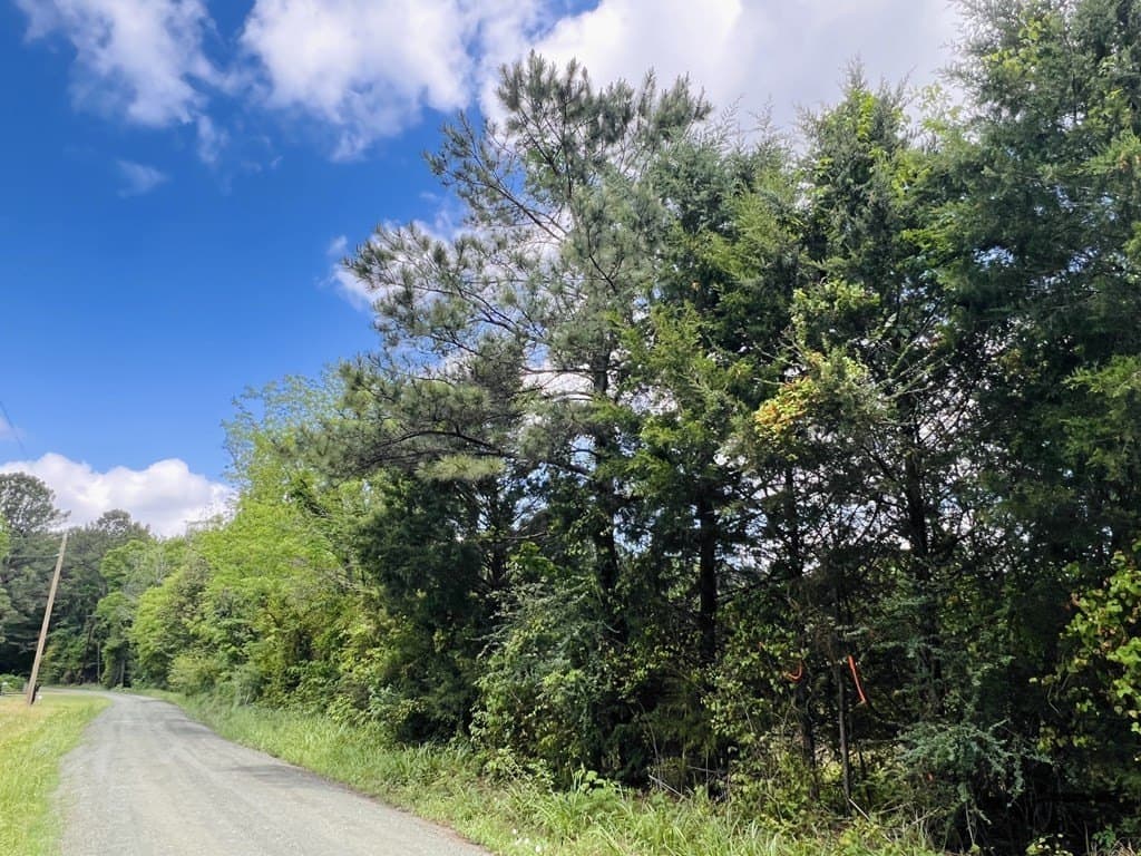 1.14 acres in Texas County gallery image 2