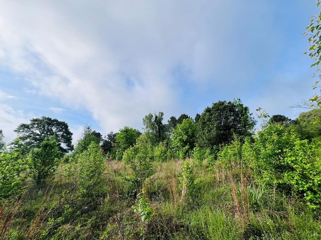 1.14 acres in Texas County featured view