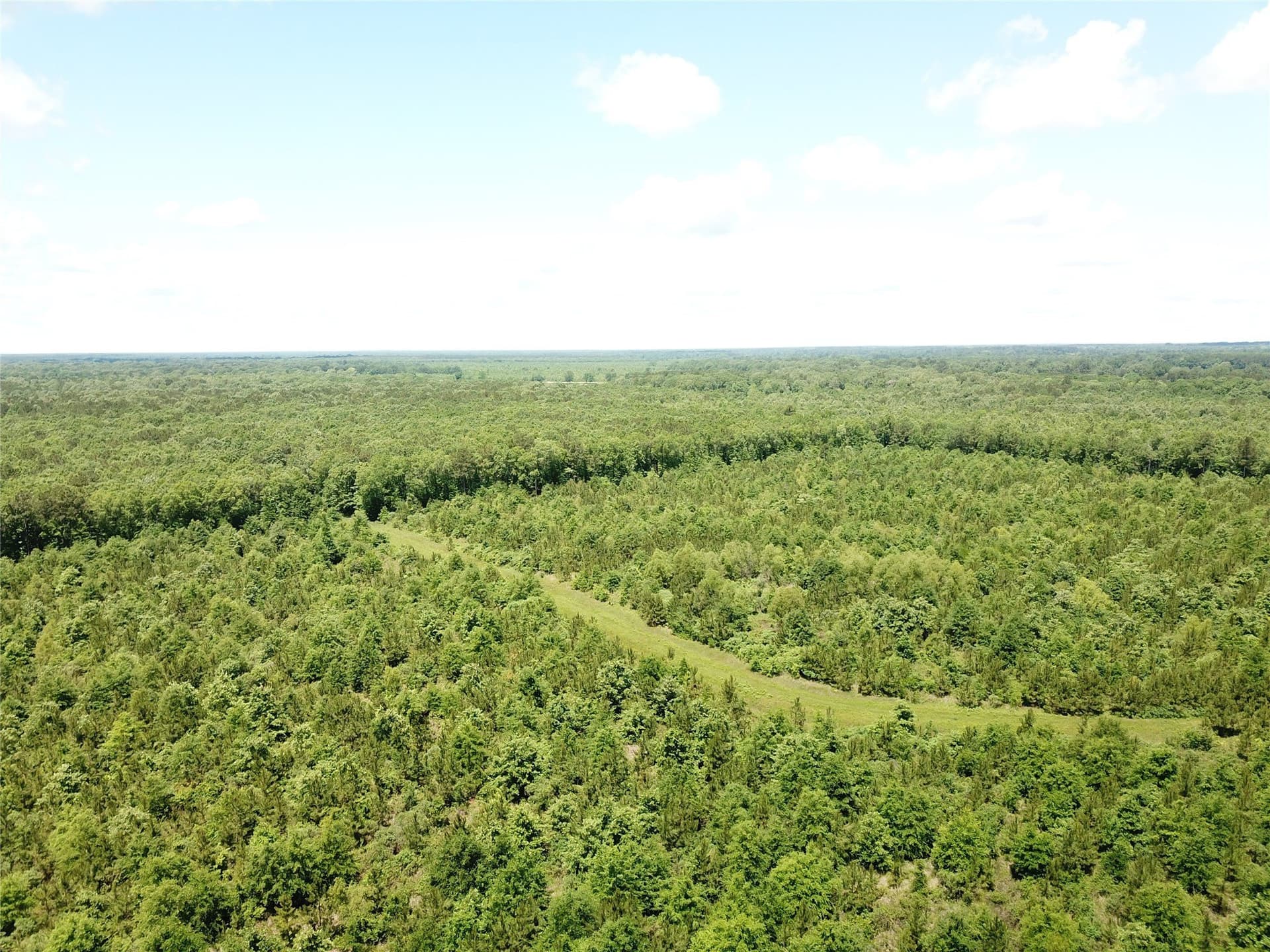 265.96 acres in Bowie County - photo 8
