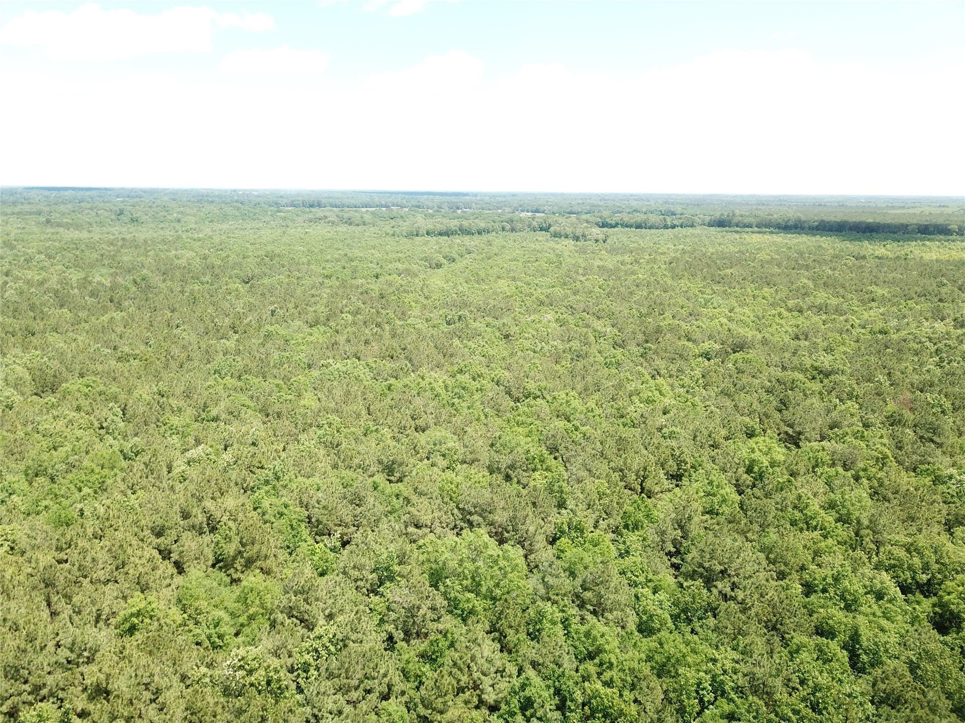 265.96 acres in Bowie County - photo 17
