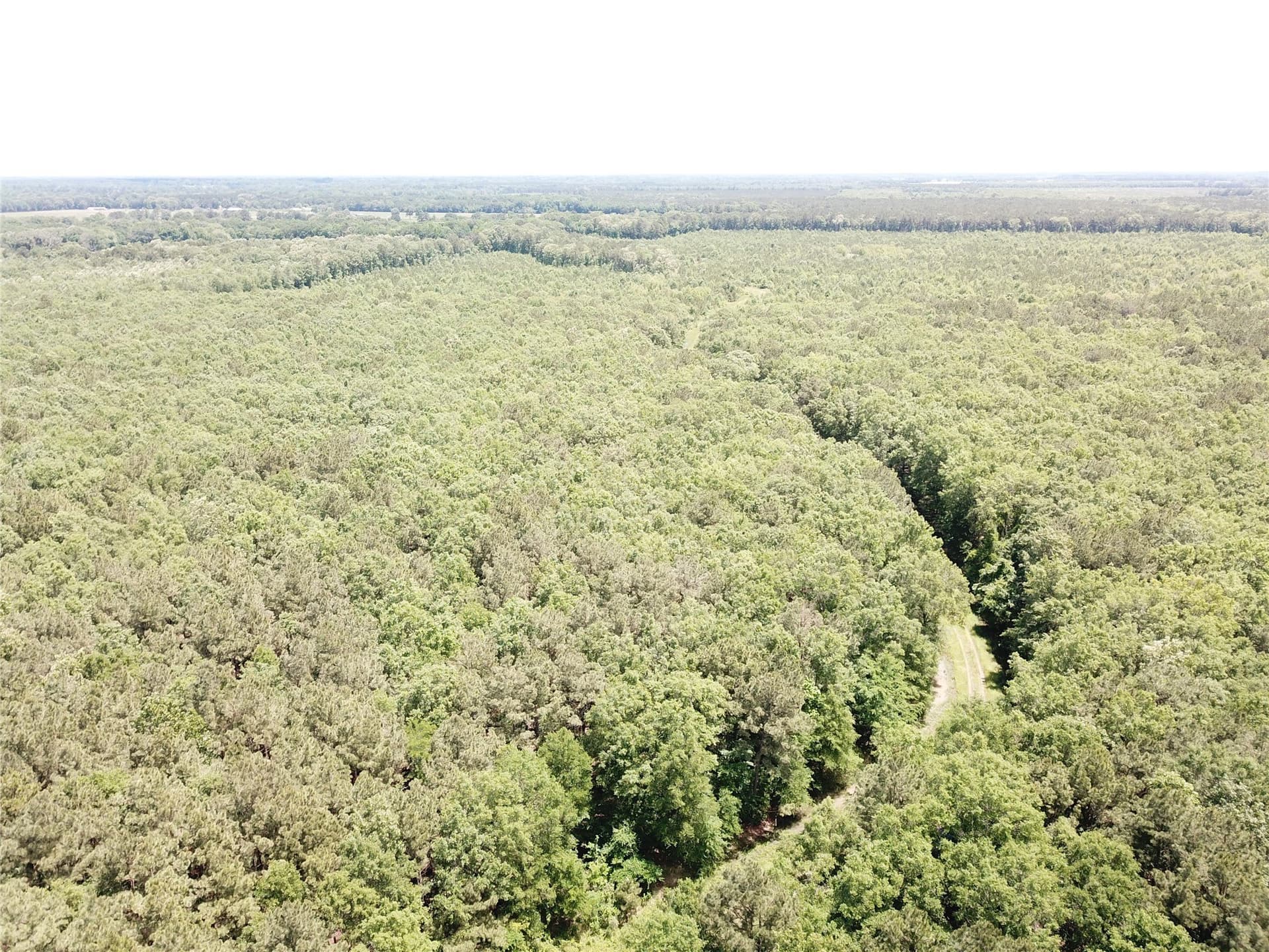 265.96 acres in Bowie County - photo 23