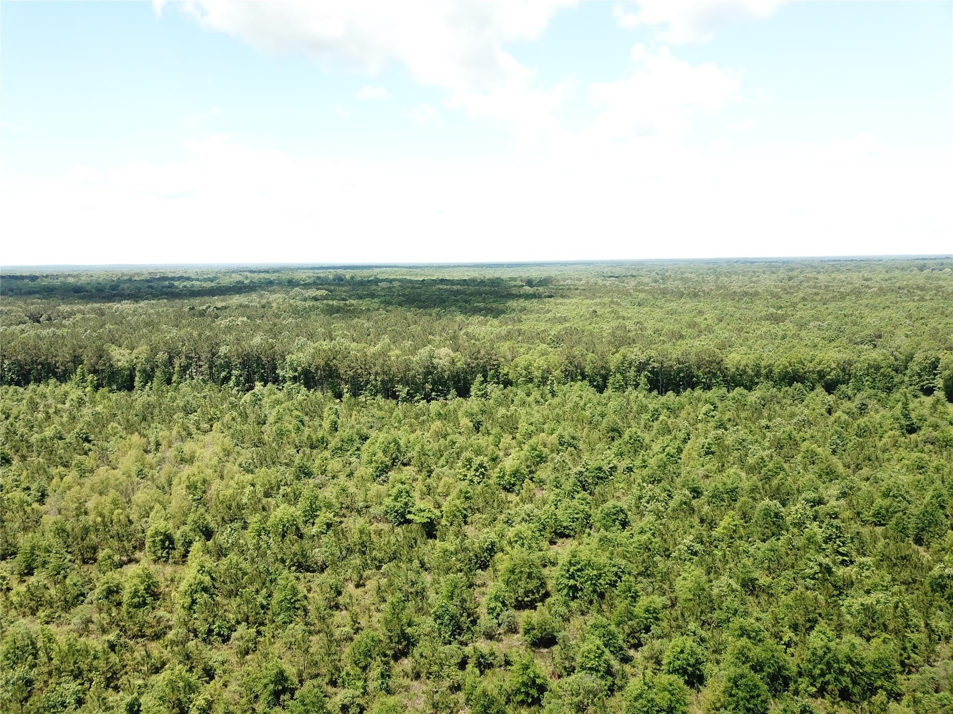 265.96 acres in Bowie County - photo 7