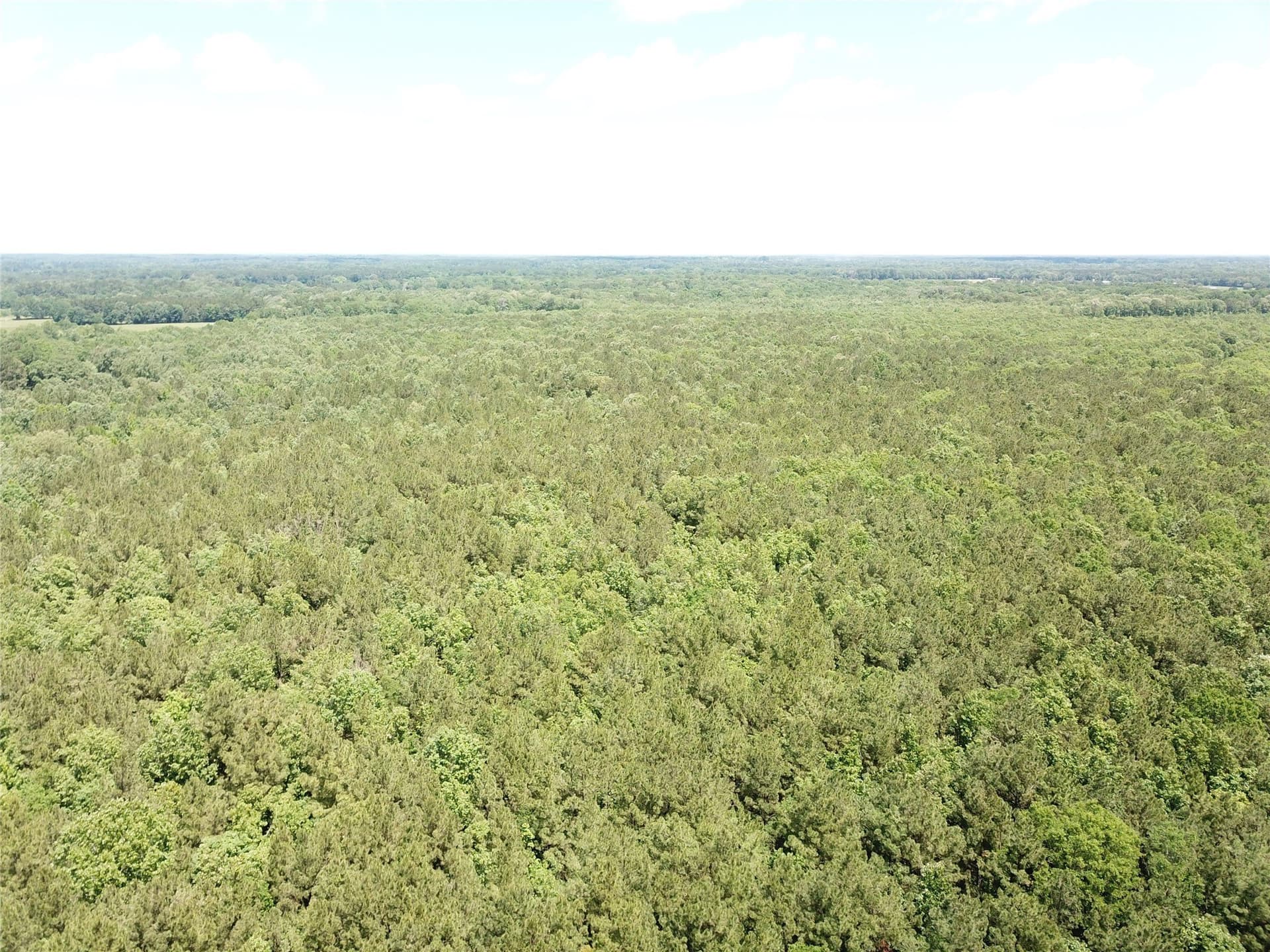 265.96 acres in Bowie County - photo 19