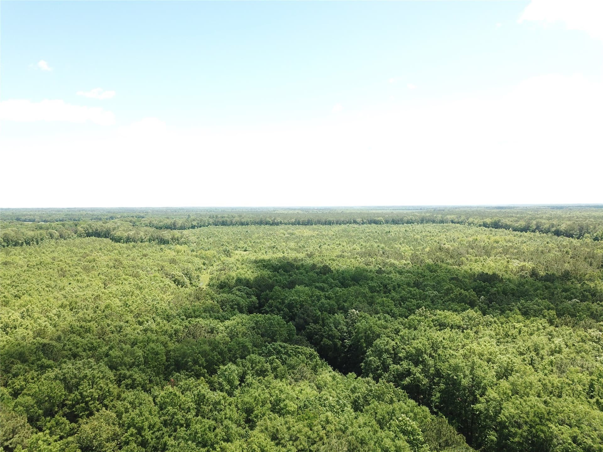 265.96 acres in Bowie County - photo 3