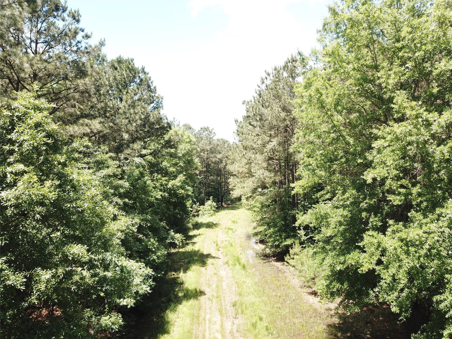 265.96 acres in Bowie County - photo 24