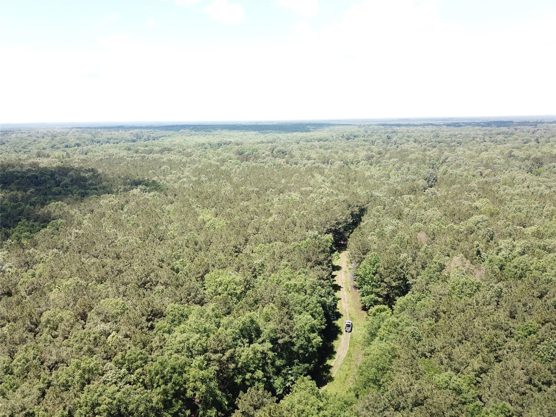 265.96 acres in Bowie County - photo 14