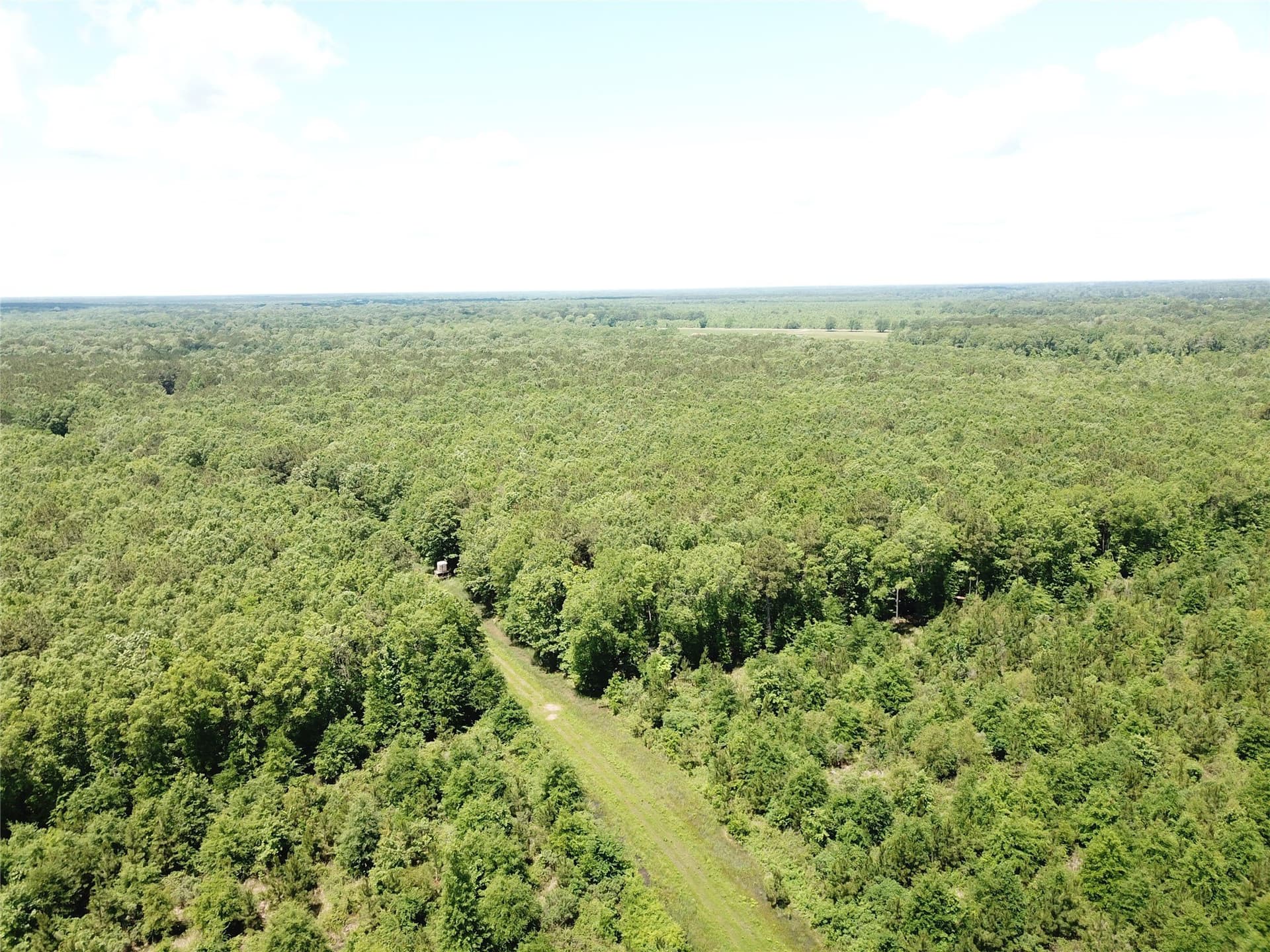 265.96 acres in Bowie County - photo 10