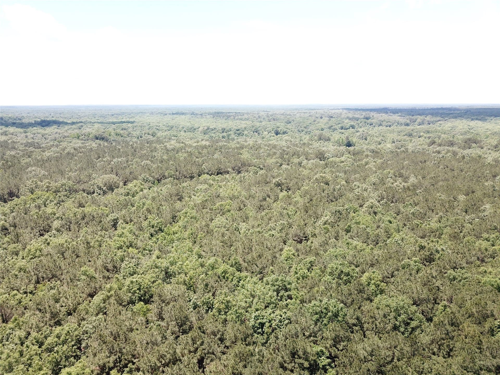 265.96 acres in Bowie County - photo 15