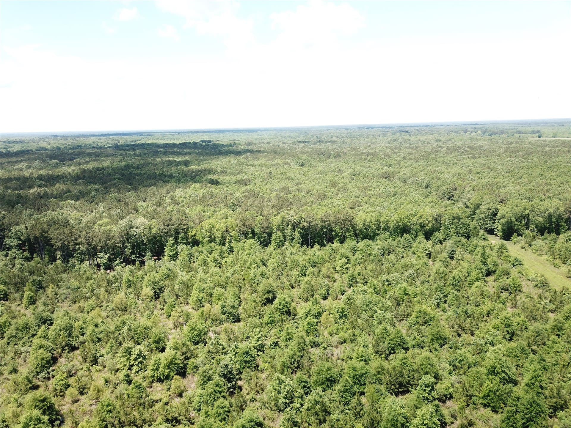 265.96 acres in Bowie County - photo 9