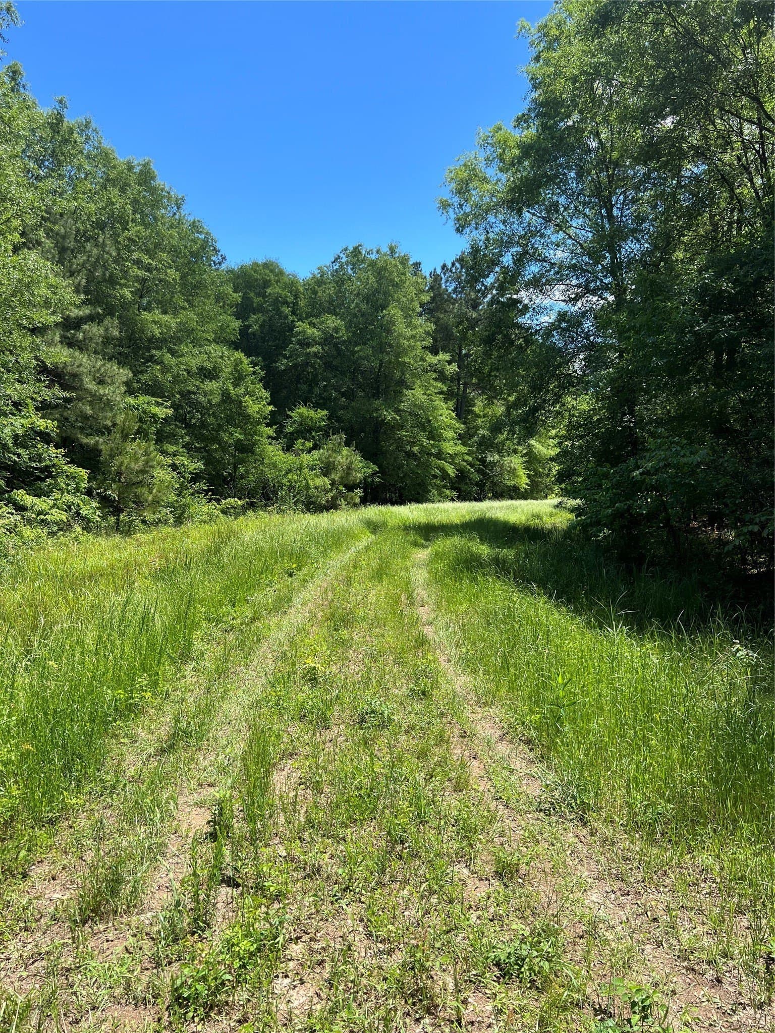 265.96 acres in Bowie County - photo 25