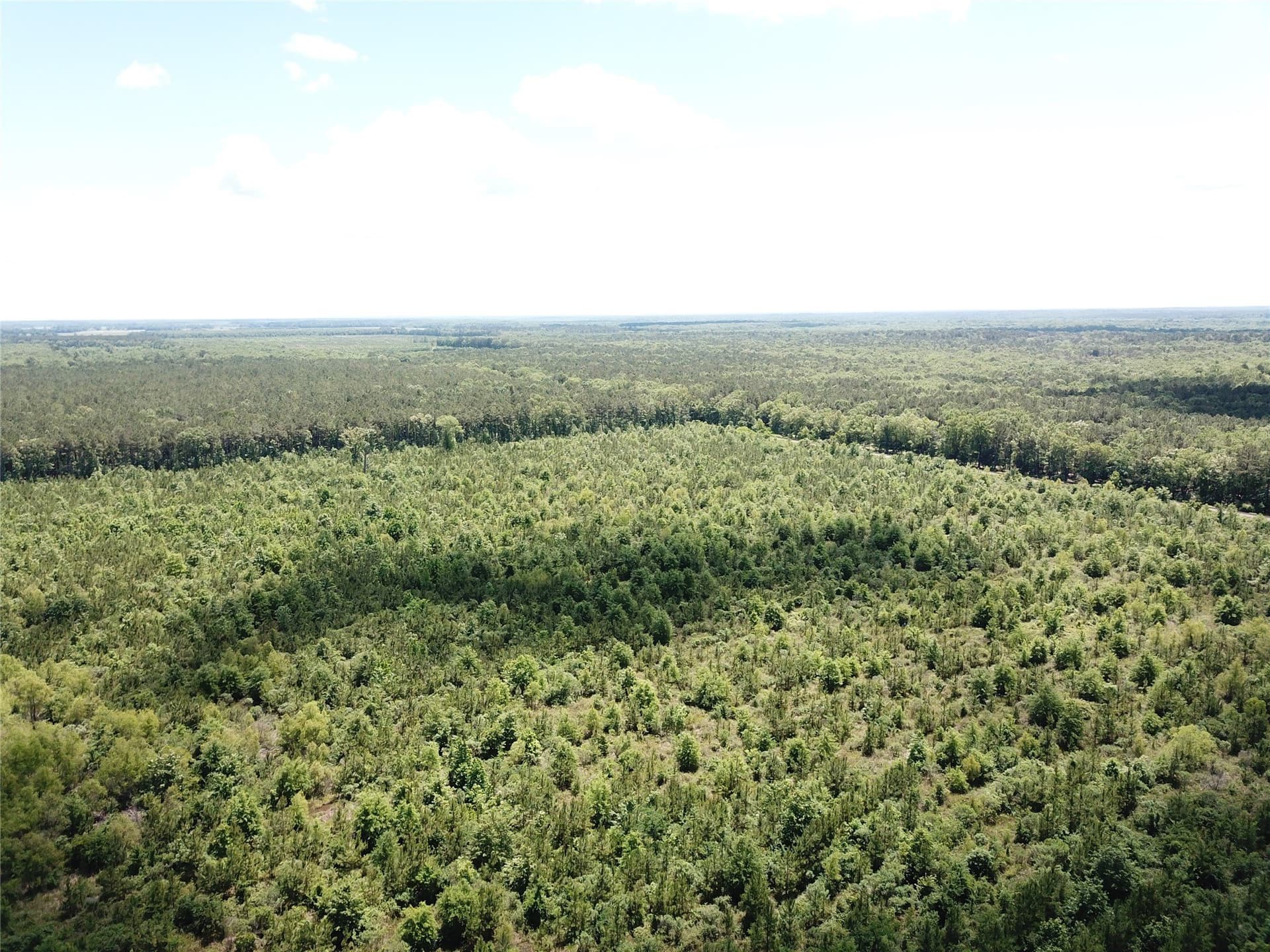 265.96 acres in Bowie County - photo 6