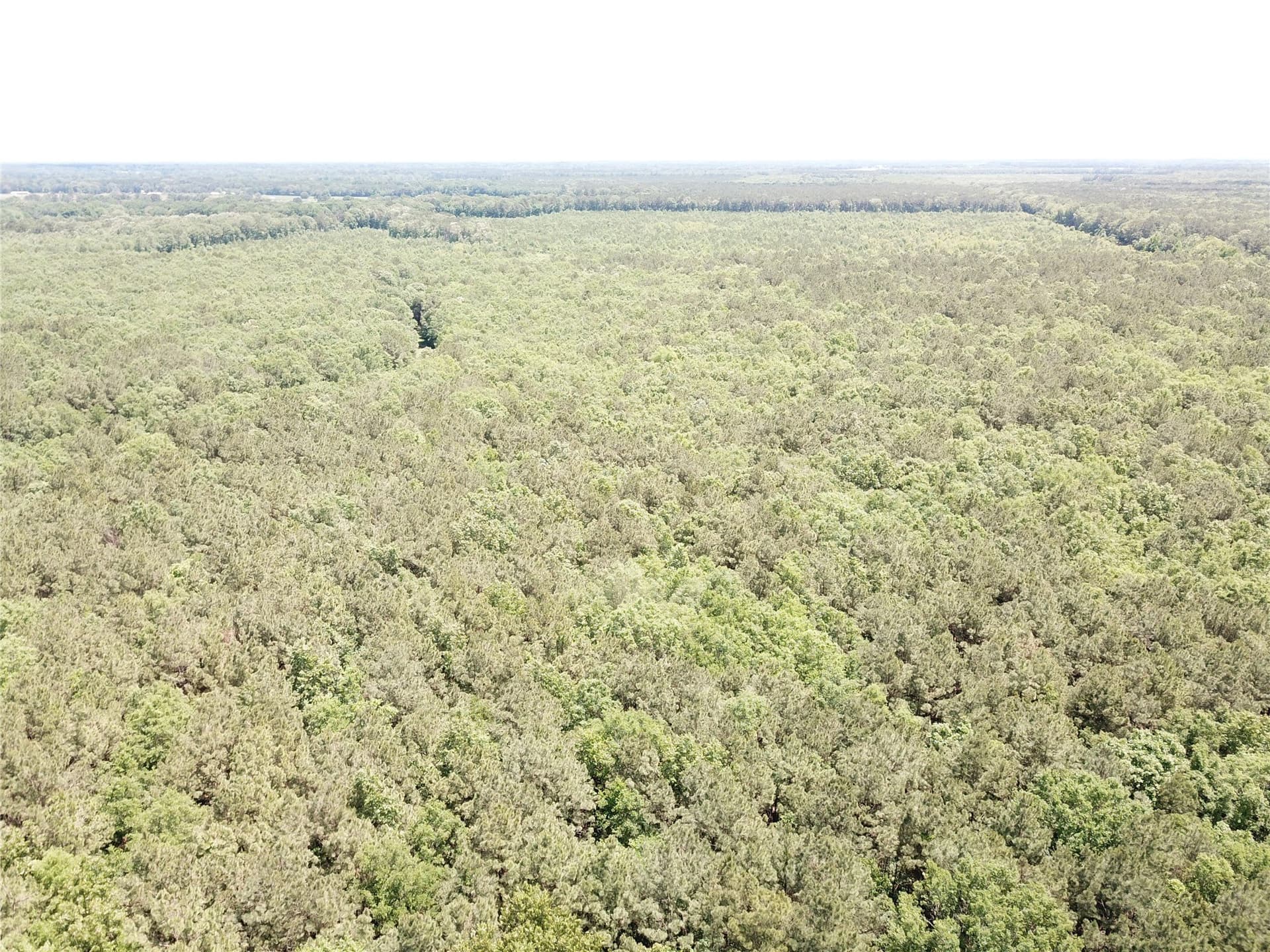 265.96 acres in Bowie County - photo 22