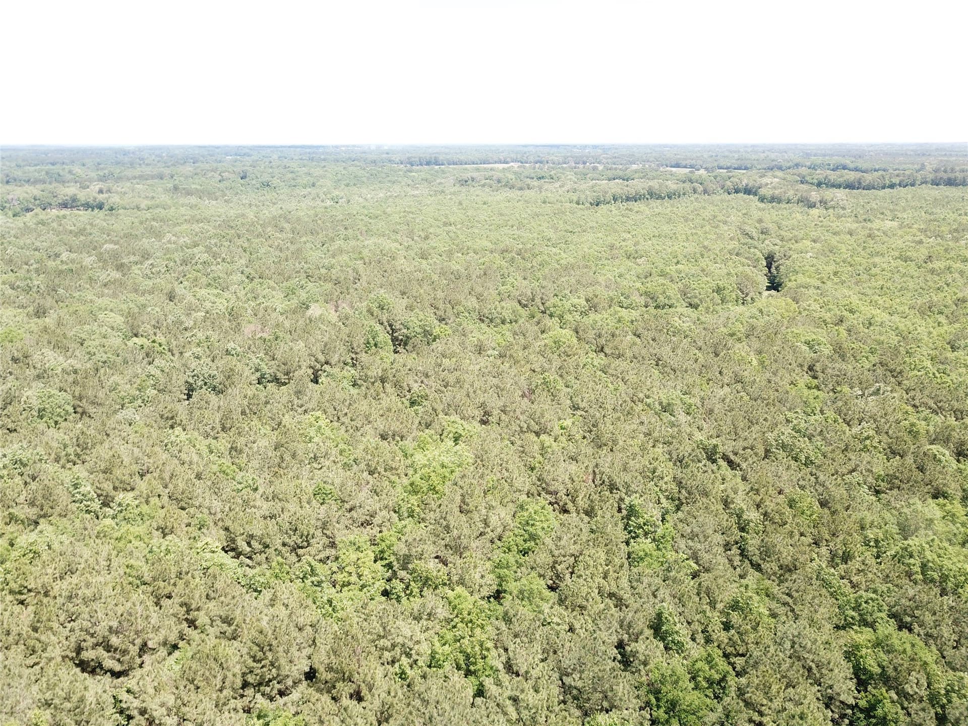 265.96 acres in Bowie County - photo 21