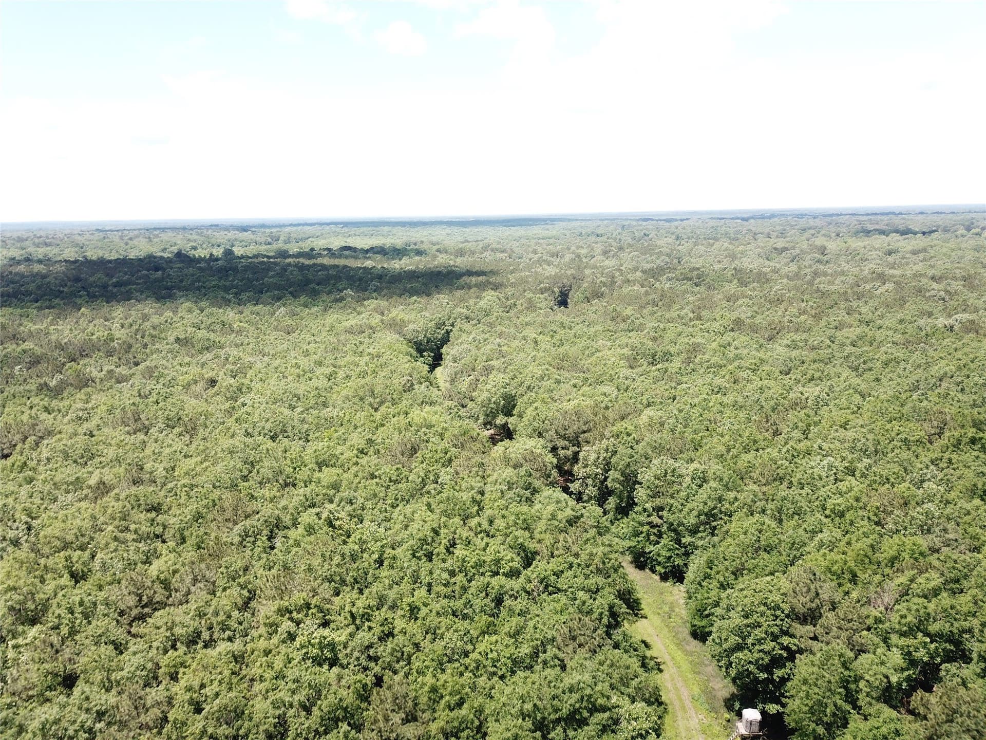 265.96 acres in Bowie County - photo 13