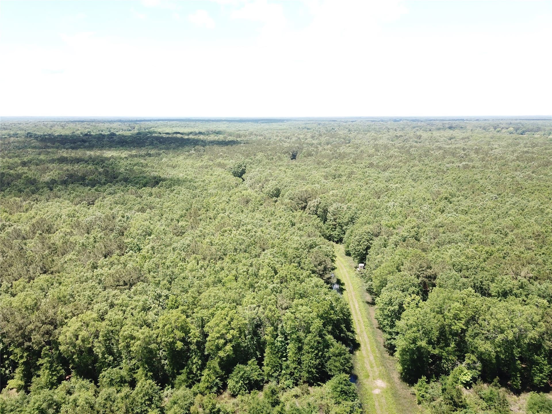 265.96 acres in Bowie County - photo 12