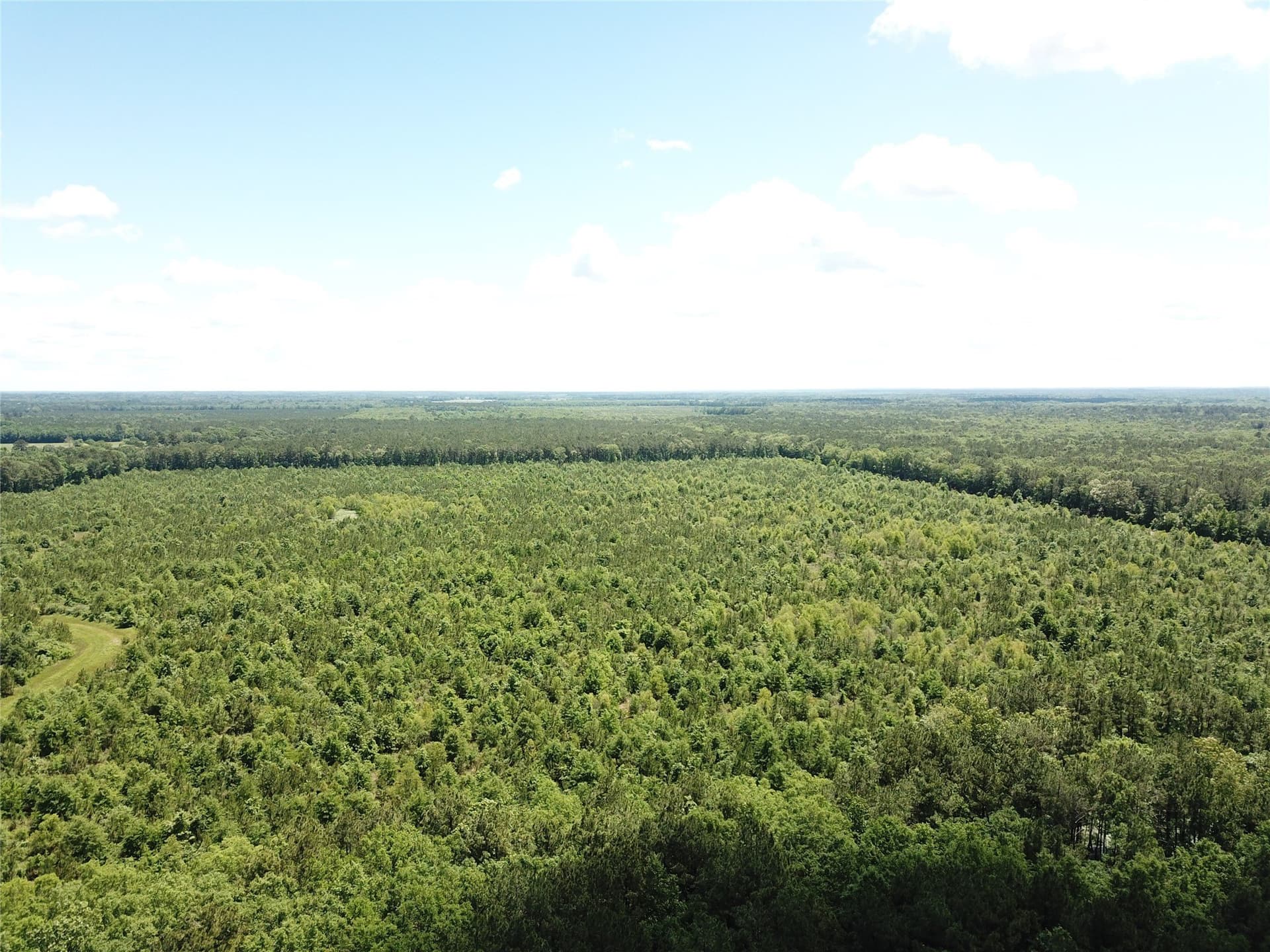 265.96 acres in Bowie County - photo 2