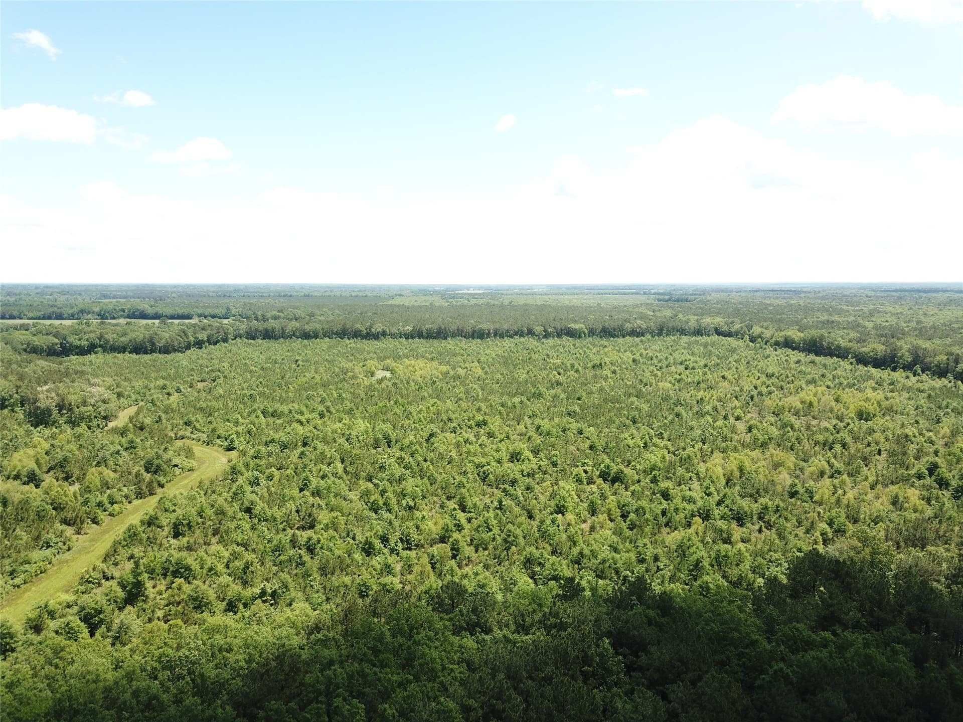 265.96 acres in Bowie County - photo 4