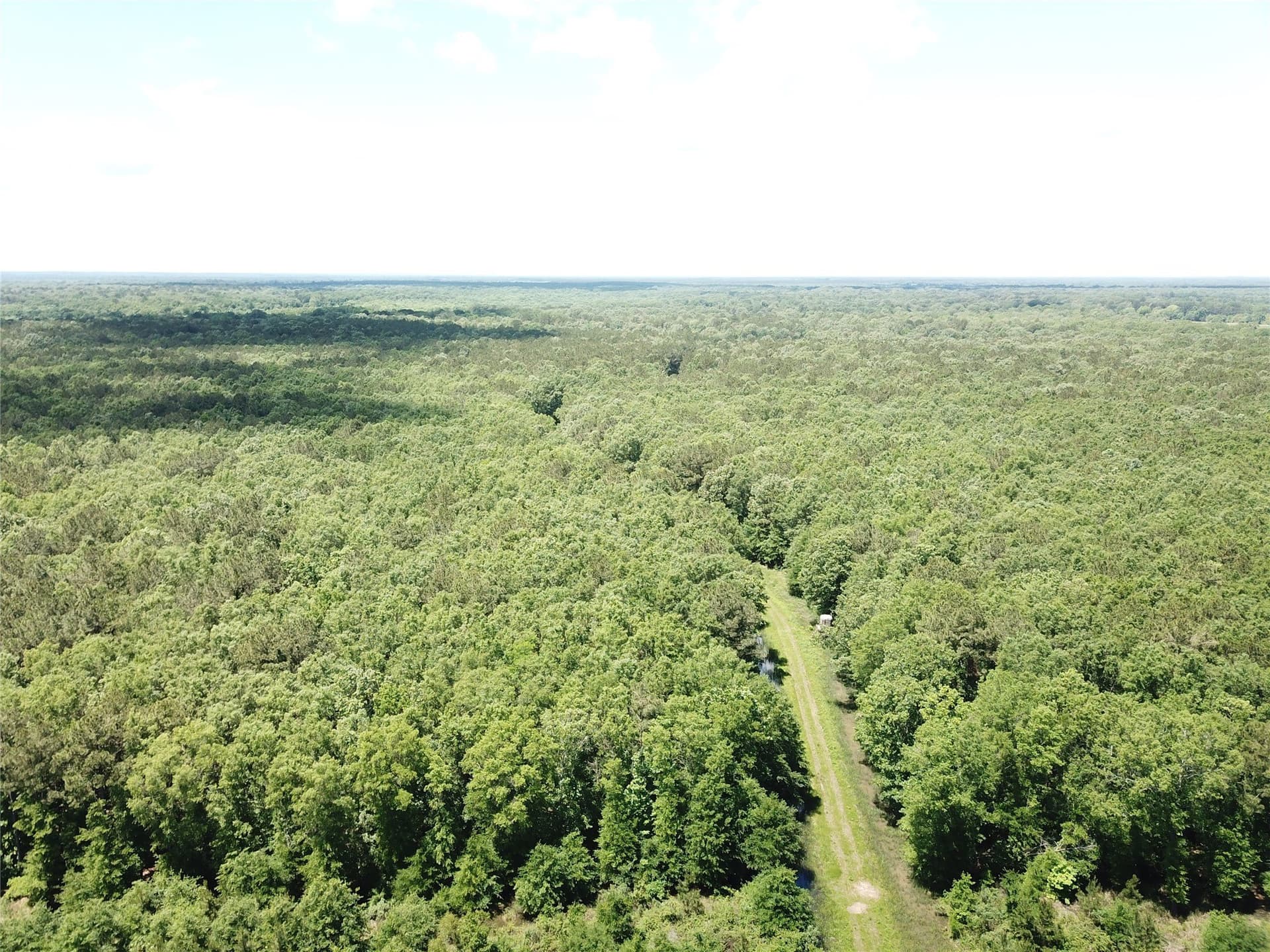 265.96 acres in Bowie County - photo 11
