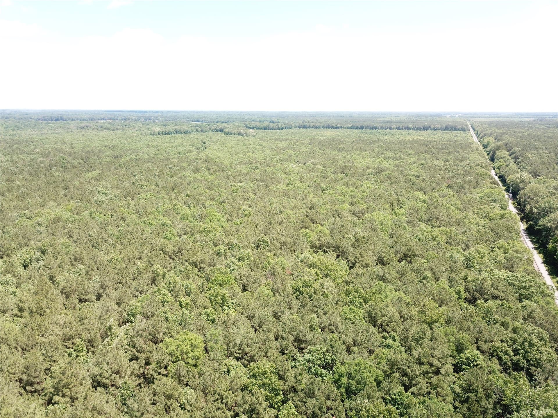 265.96 acres in Bowie County - photo 20