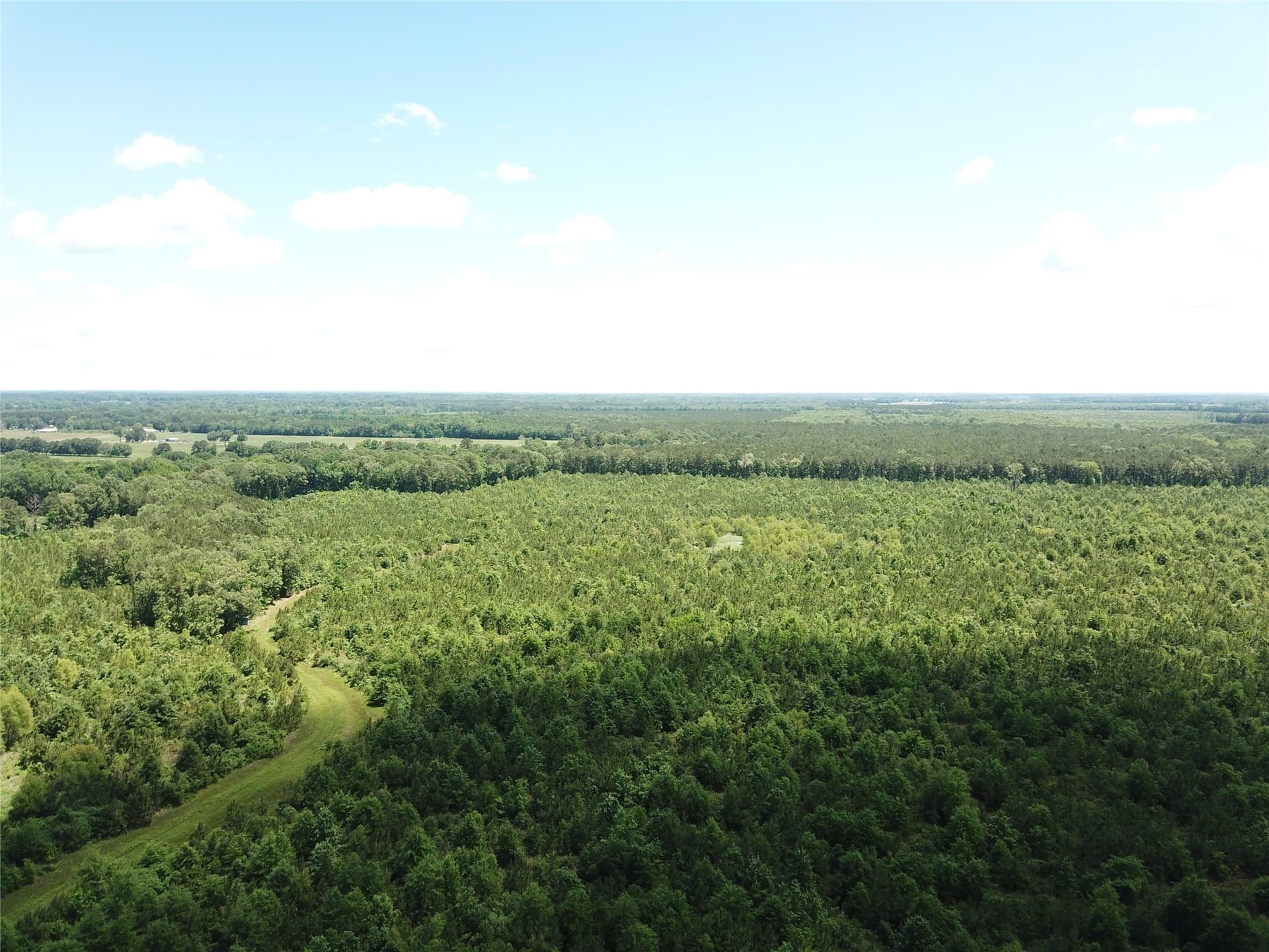 265.96 acres in Bowie County - photo 5