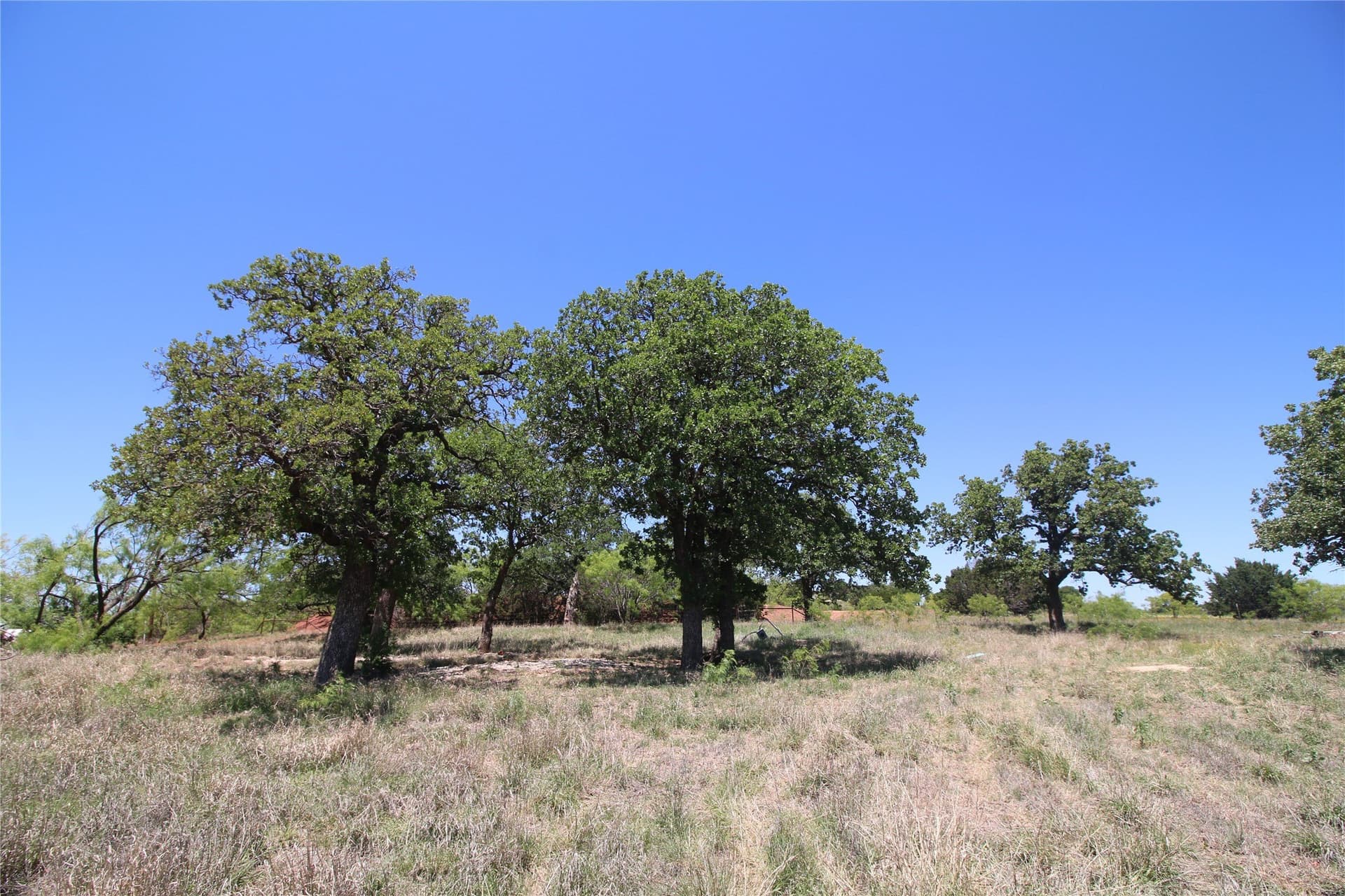 9.12 acres in Taylor County - photo 10