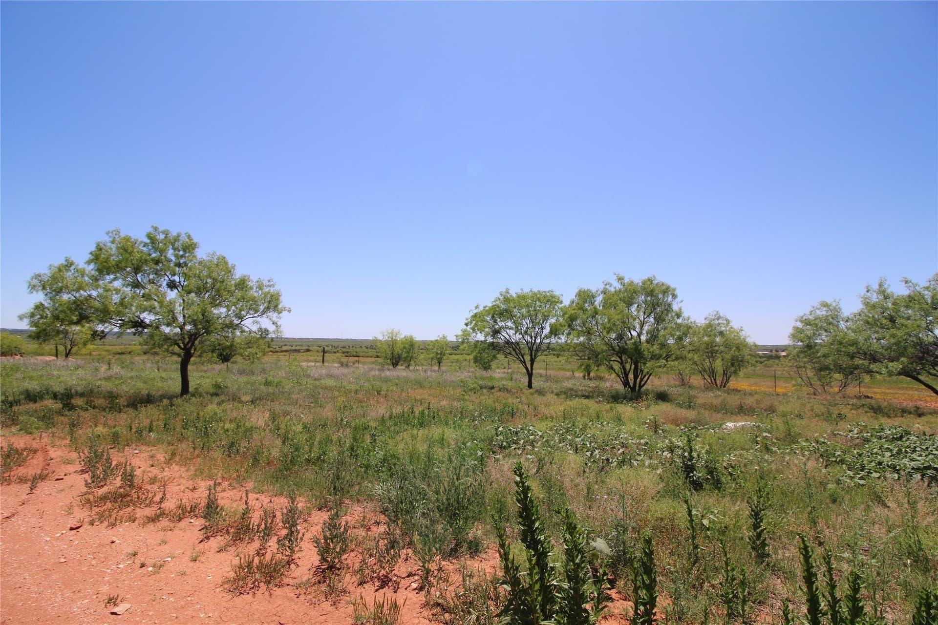 9.12 acres in Taylor County gallery image 4