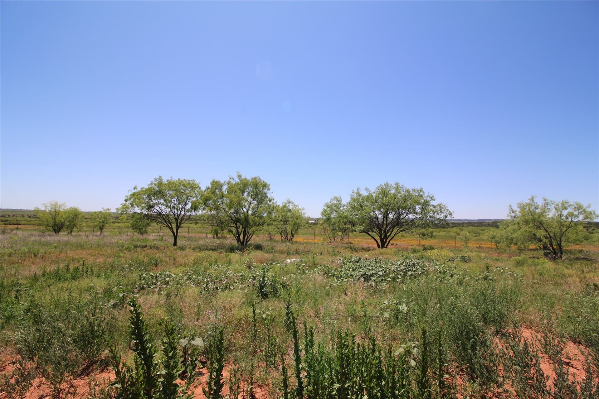 9.12 acres in Taylor County gallery image 3