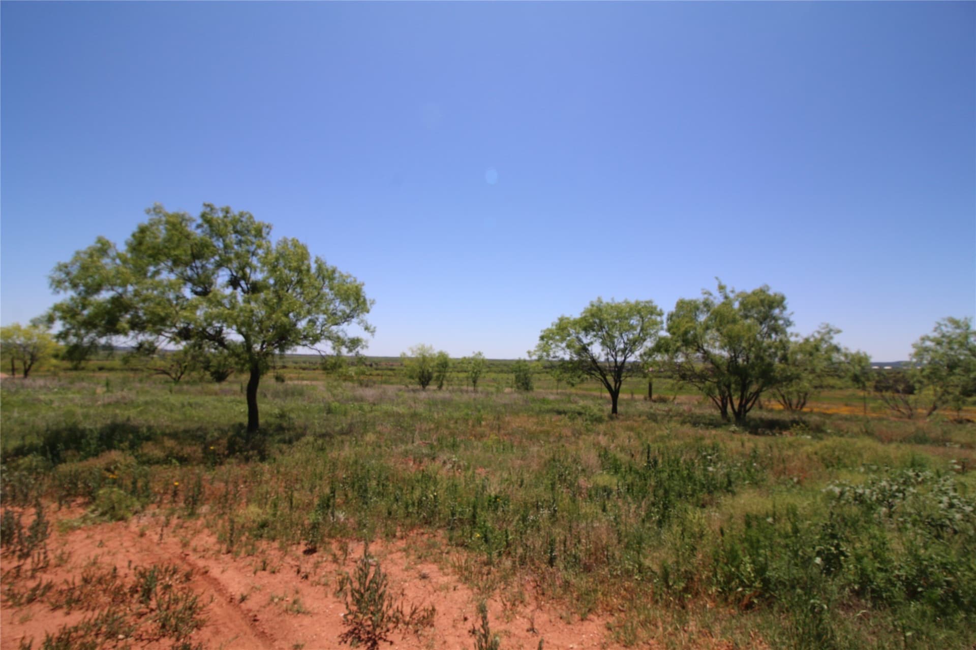 9.12 acres in Taylor County gallery image 2