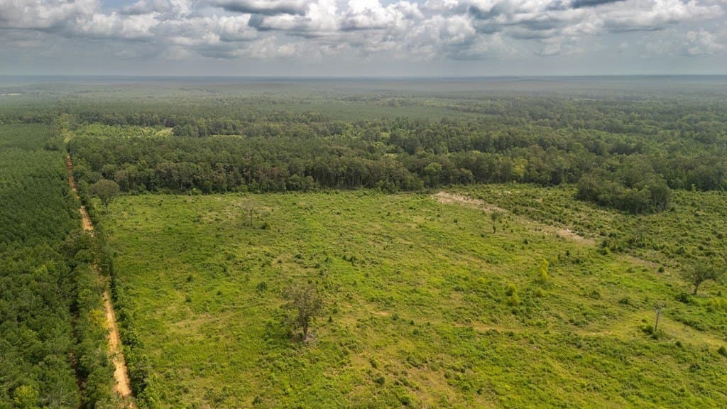 17 acres in Texas County featured view