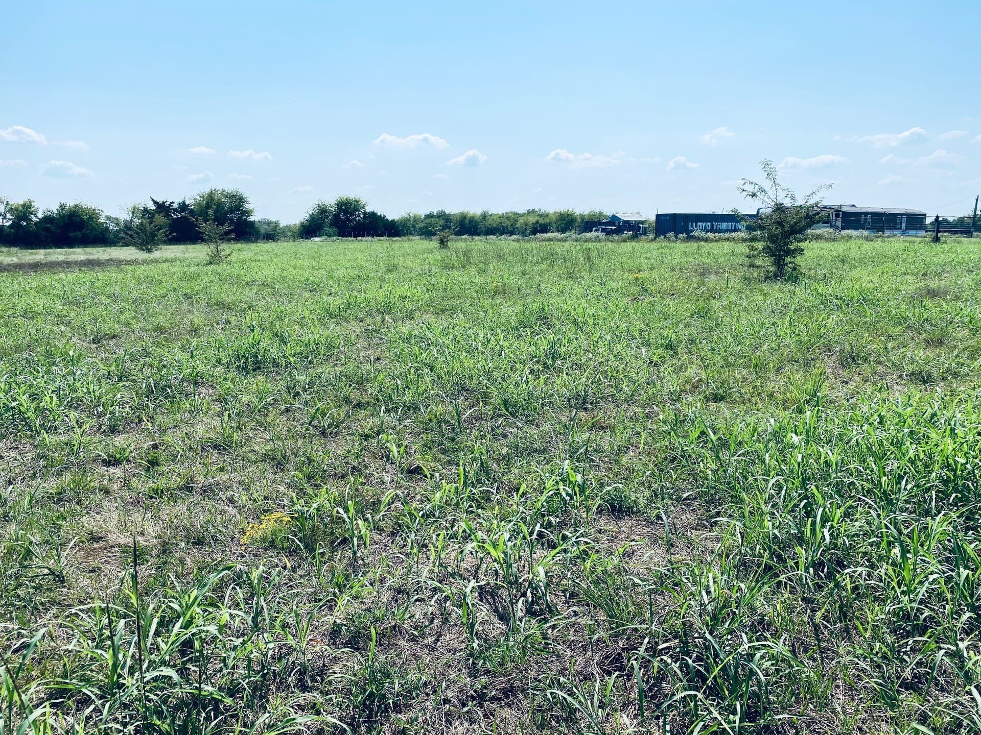2.07 acres in Rains County - photo 6