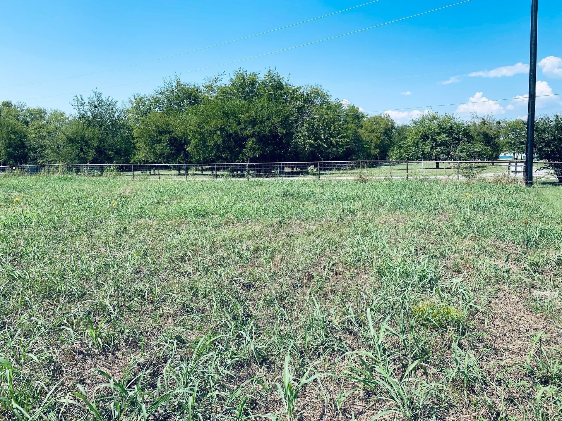 2.07 acres in Rains County gallery image 4