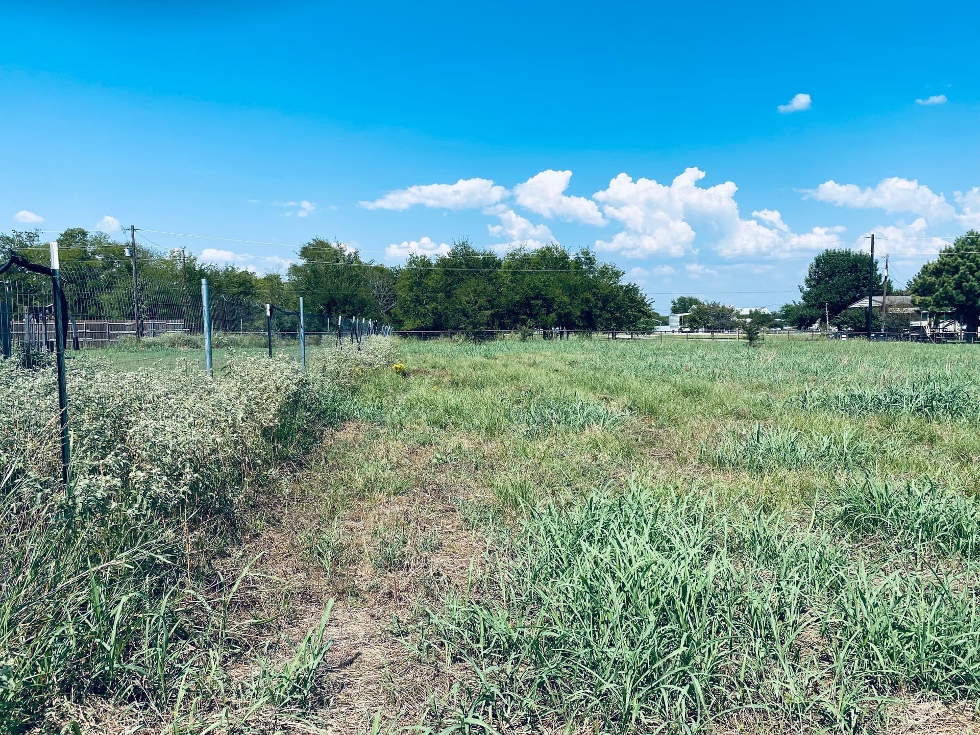 2.07 acres in Rains County gallery image 3