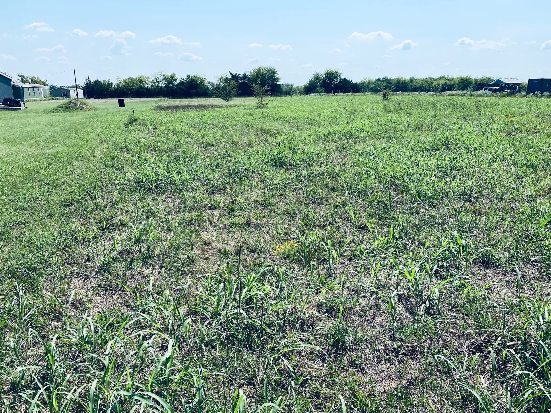 2.07 acres in Rains County featured view