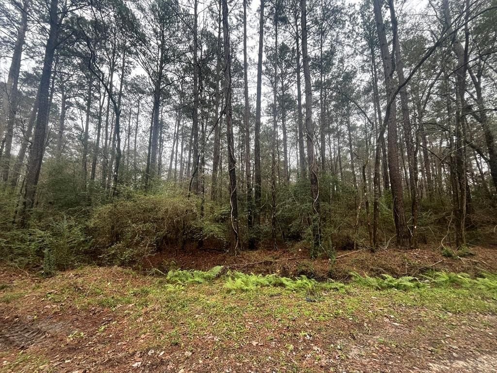 0.27 acres in Texas County