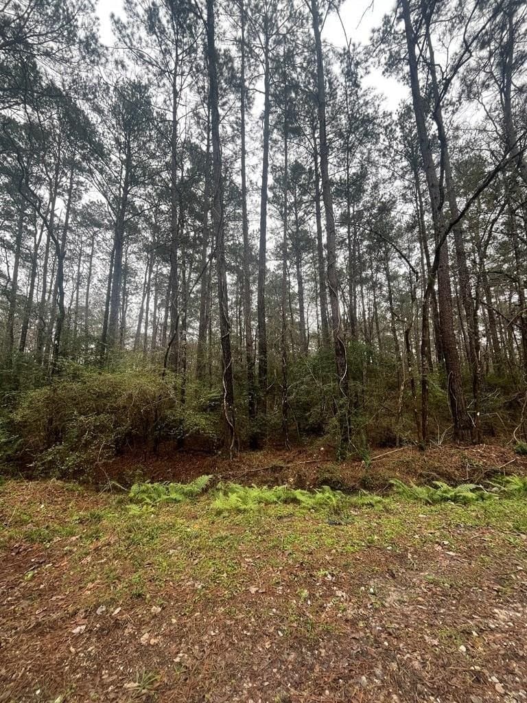 0.27 acres in Texas County featured view