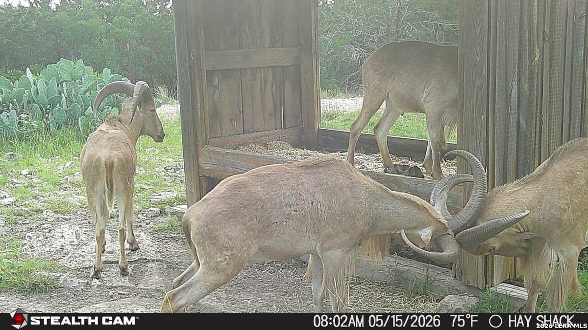 649 acres in Edwards County - photo 10