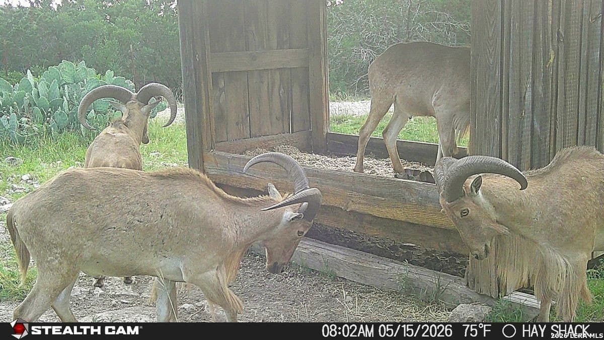 649 acres in Edwards County - photo 9